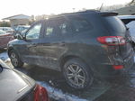 2010 Hyundai Santa Fe Se Серый vin: 5NMSHDAG3AH337980