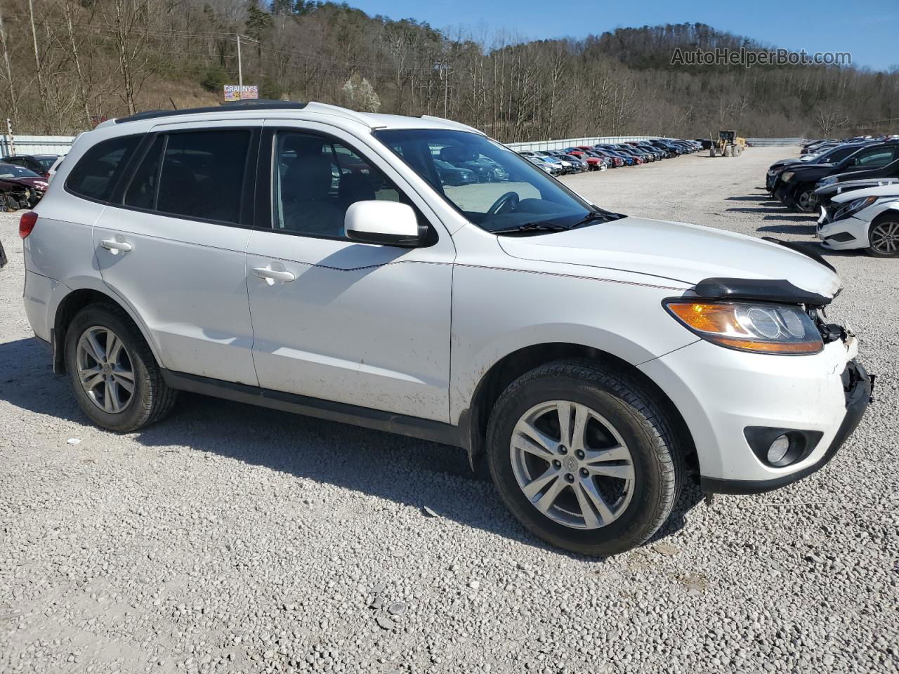 2010 Hyundai Santa Fe Se White vin: 5NMSHDAG3AH407493