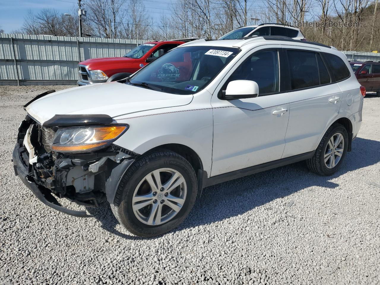 2010 Hyundai Santa Fe Se White vin: 5NMSHDAG3AH407493