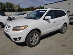 2010 Hyundai Santa Fe Limited White vin: 5NMSK4AG1AH360899