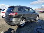 2010 Hyundai Santa Fe Limited Gray vin: 5NMSK4AG1AH398536