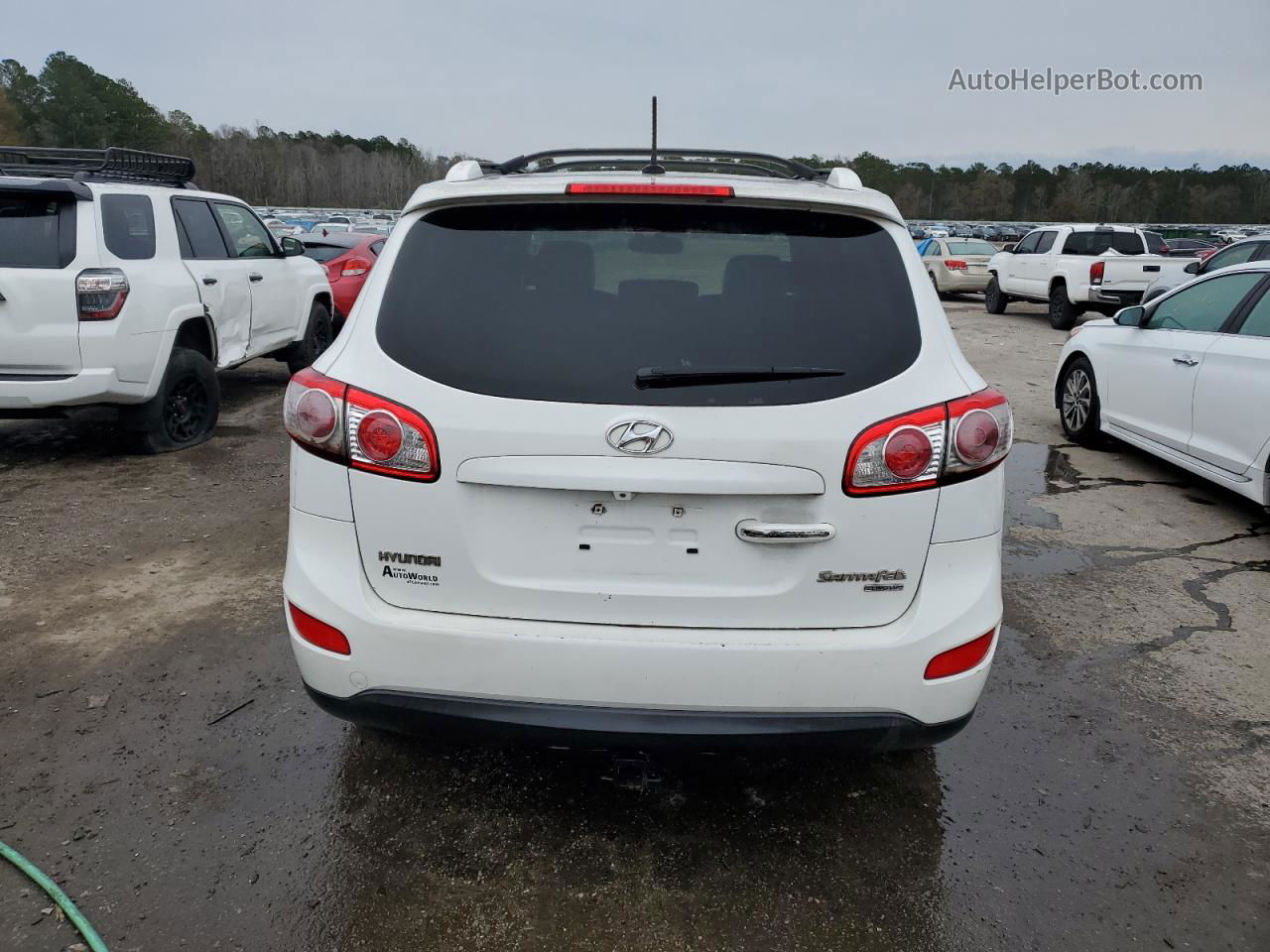 2010 Hyundai Santa Fe Limited White vin: 5NMSK4AG4AH359603