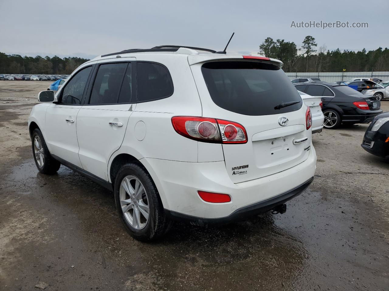 2010 Hyundai Santa Fe Limited White vin: 5NMSK4AG4AH359603