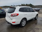 2010 Hyundai Santa Fe Limited Белый vin: 5NMSK4AG4AH359603