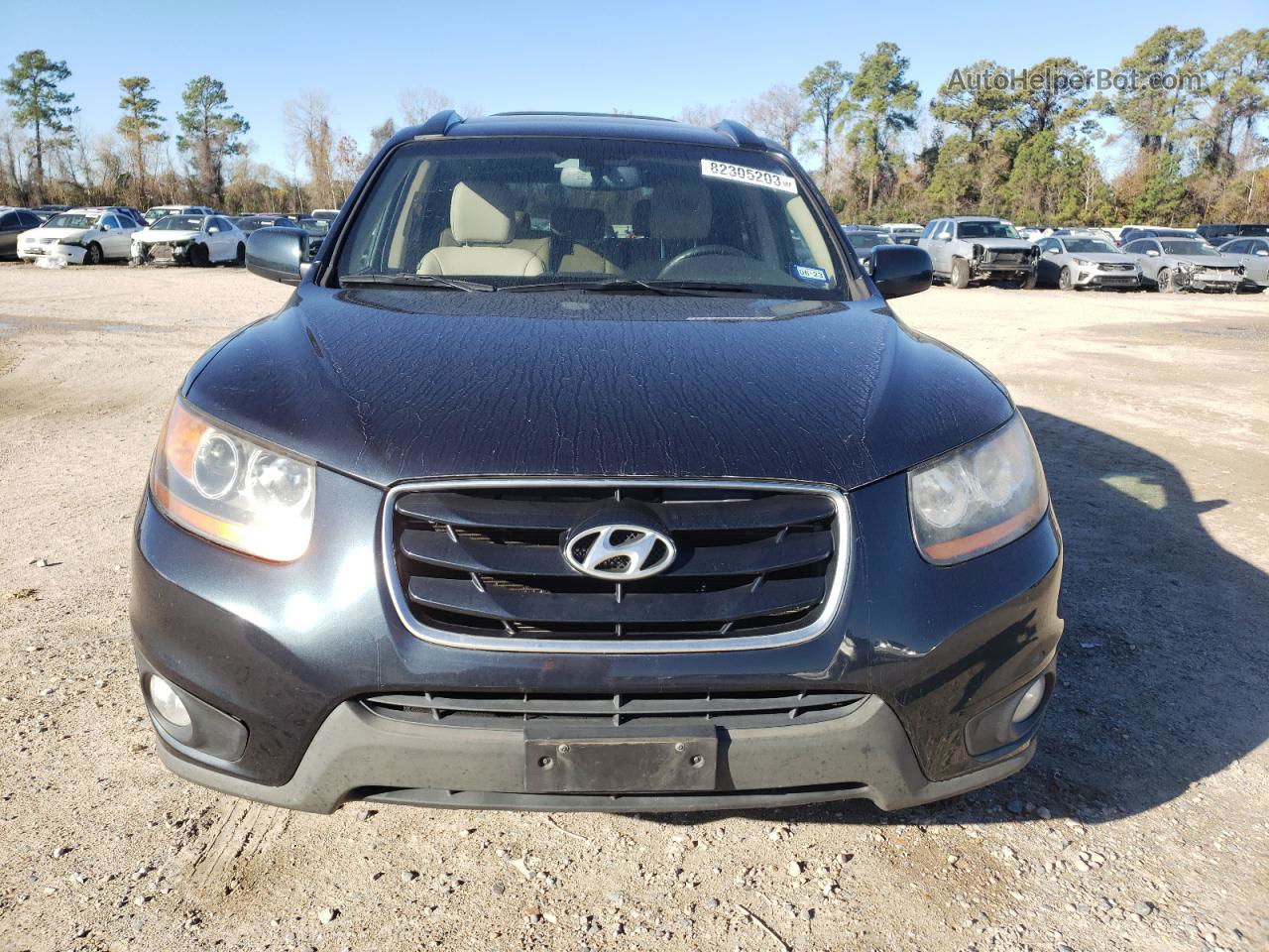 2010 Hyundai Santa Fe Limited Blue vin: 5NMSK4AG7AH342052