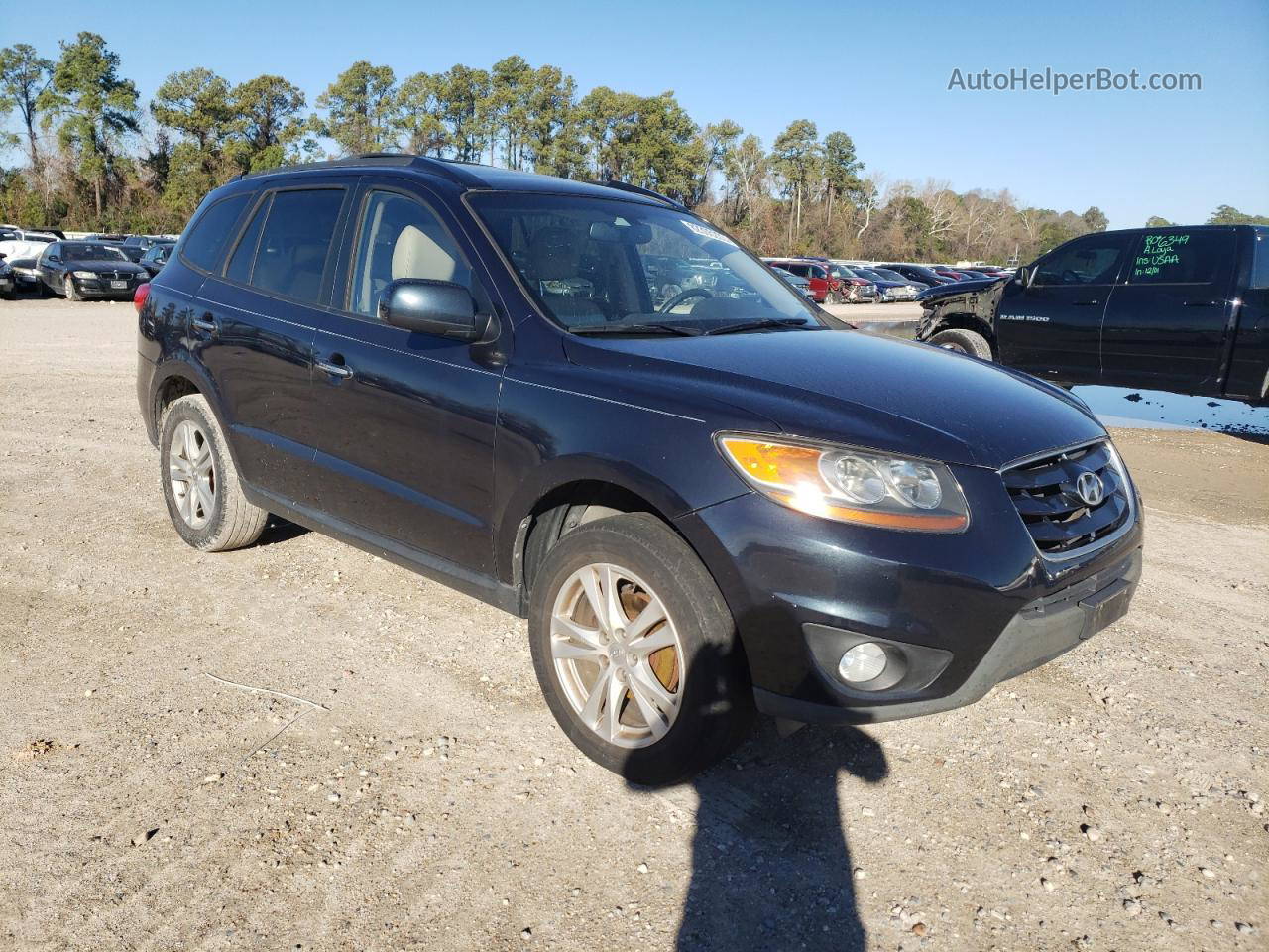 2010 Hyundai Santa Fe Limited Blue vin: 5NMSK4AG7AH342052