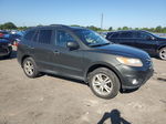 2010 Hyundai Santa Fe Limited Угольный vin: 5NMSKDAG1AH384717