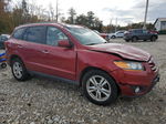 2010 Hyundai Santa Fe Limited Maroon vin: 5NMSKDAG6AH341944