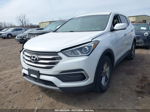 2018 Hyundai Santa Fe Sport 2.4l Белый vin: 5NMZT3LB0JH100145