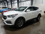 2018 Hyundai Santa Fe Sport  White vin: 5NMZT3LB1JH072100