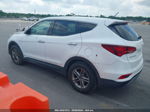 2018 Hyundai Santa Fe Sport 2.4l White vin: 5NMZT3LB2JH095806