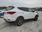 2018 Hyundai Santa Fe Sport  Белый vin: 5NMZT3LB4JH071667