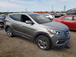 2018 Hyundai Santa Fe Sport  Charcoal vin: 5NMZT3LB4JH089697