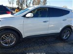 2018 Hyundai Santa Fe Sport 2.4l White vin: 5NMZT3LB4JH092373
