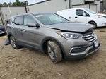 2018 Hyundai Santa Fe Sport  Серый vin: 5NMZT3LB5JH079406