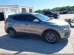 2018 Hyundai Santa Fe Sport 2.4l Gray vin: 5NMZT3LB5JH096299