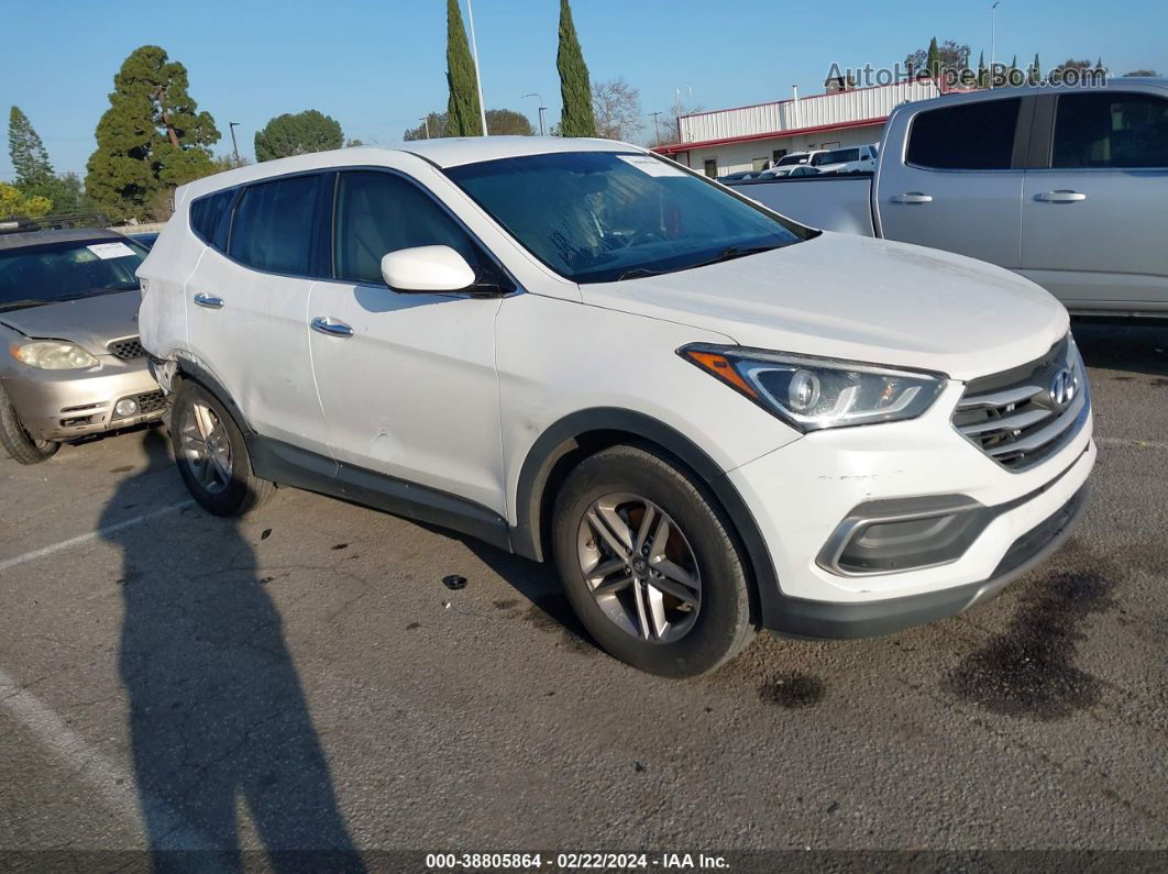 2018 Hyundai Santa Fe Sport 2.4l White vin: 5NMZT3LB6JH061822