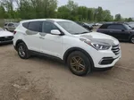 2018 Hyundai Santa Fe Sport  White vin: 5NMZT3LB6JH080502