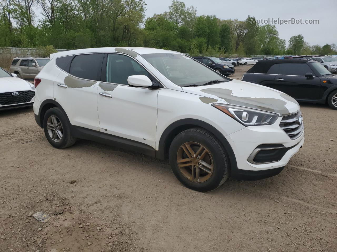 2018 Hyundai Santa Fe Sport  Белый vin: 5NMZT3LB6JH080502