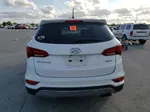 2018 Hyundai Santa Fe Sport  White vin: 5NMZT3LB9JH101181