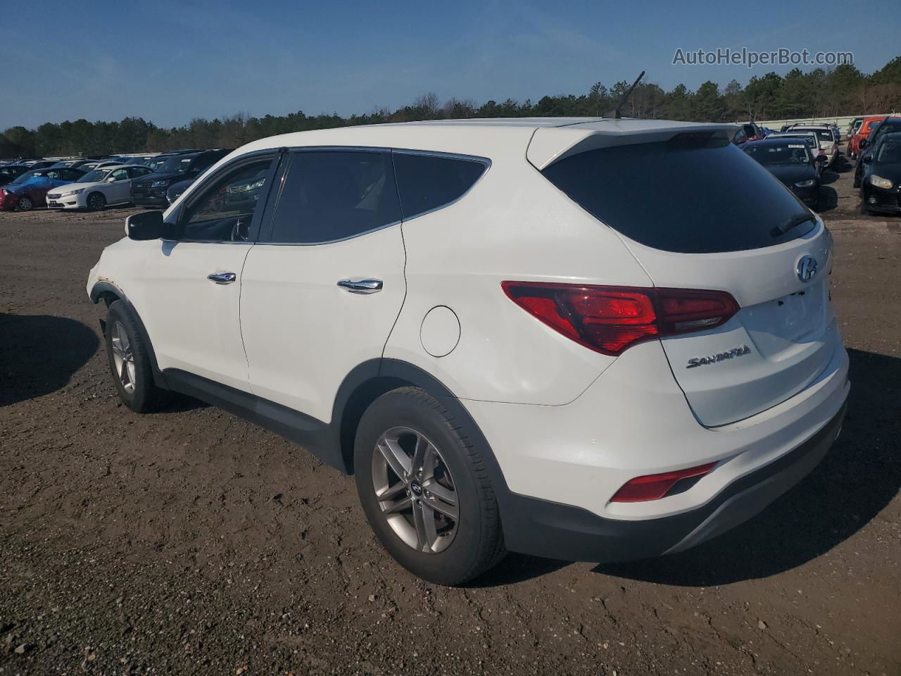 2018 Hyundai Santa Fe Sport  Белый vin: 5NMZT3LBXJH052699