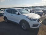 2018 Hyundai Santa Fe Sport  White vin: 5NMZT3LBXJH052699