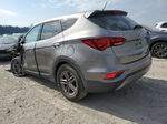 2018 Hyundai Santa Fe Sport  Gray vin: 5NMZT3LBXJH076792