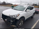 2018 Hyundai Santa Fe Sport 2.4l White vin: 5NMZT3LBXJH086268