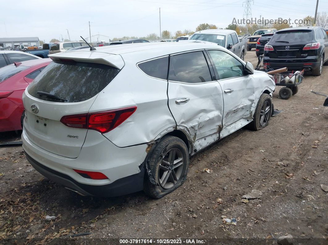 2018 Hyundai Santa Fe Sport 2.4l White vin: 5NMZT3LBXJH096024