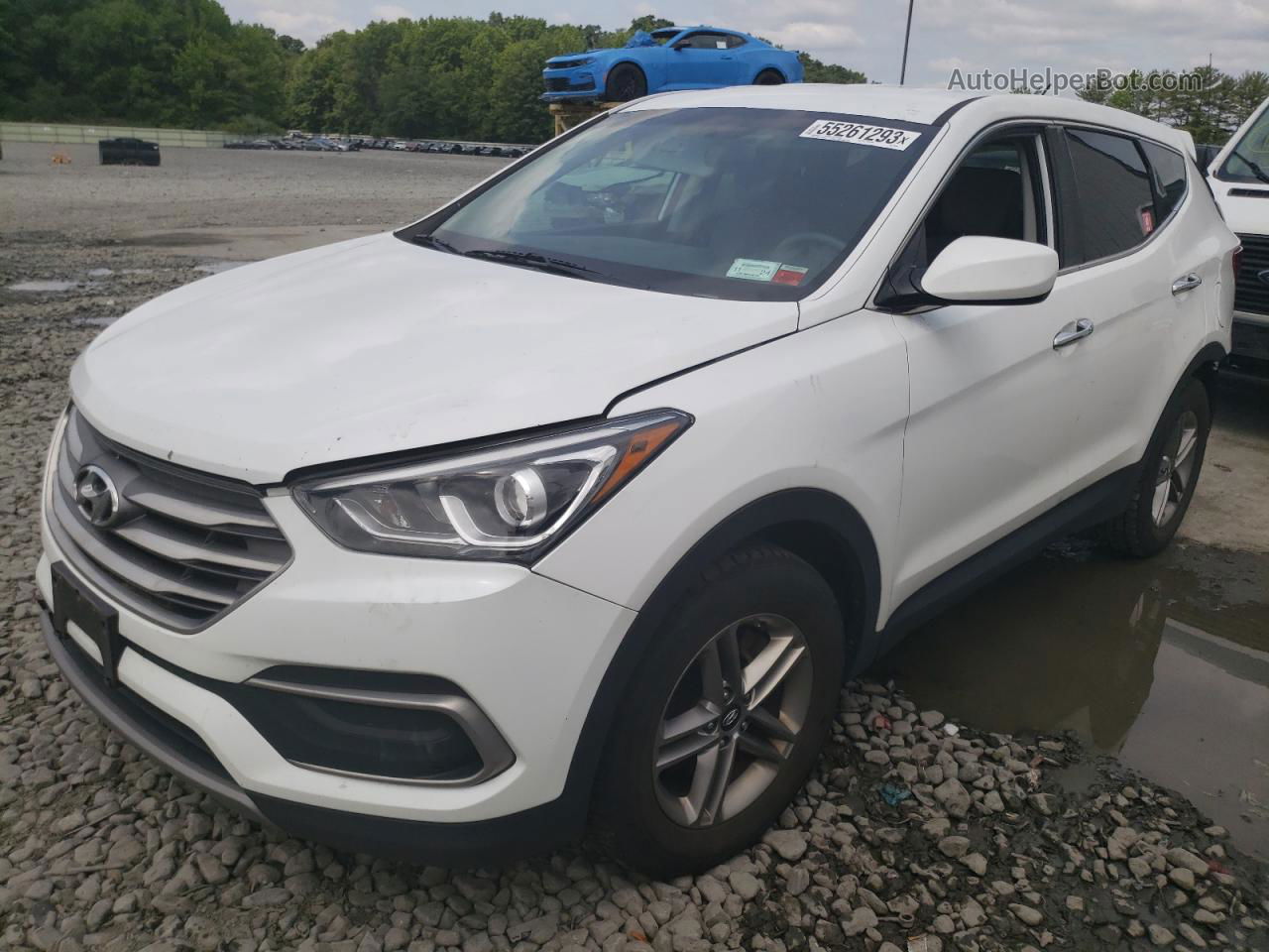 2018 Hyundai Santa Fe Sport  White vin: 5NMZTDLB1JH072362