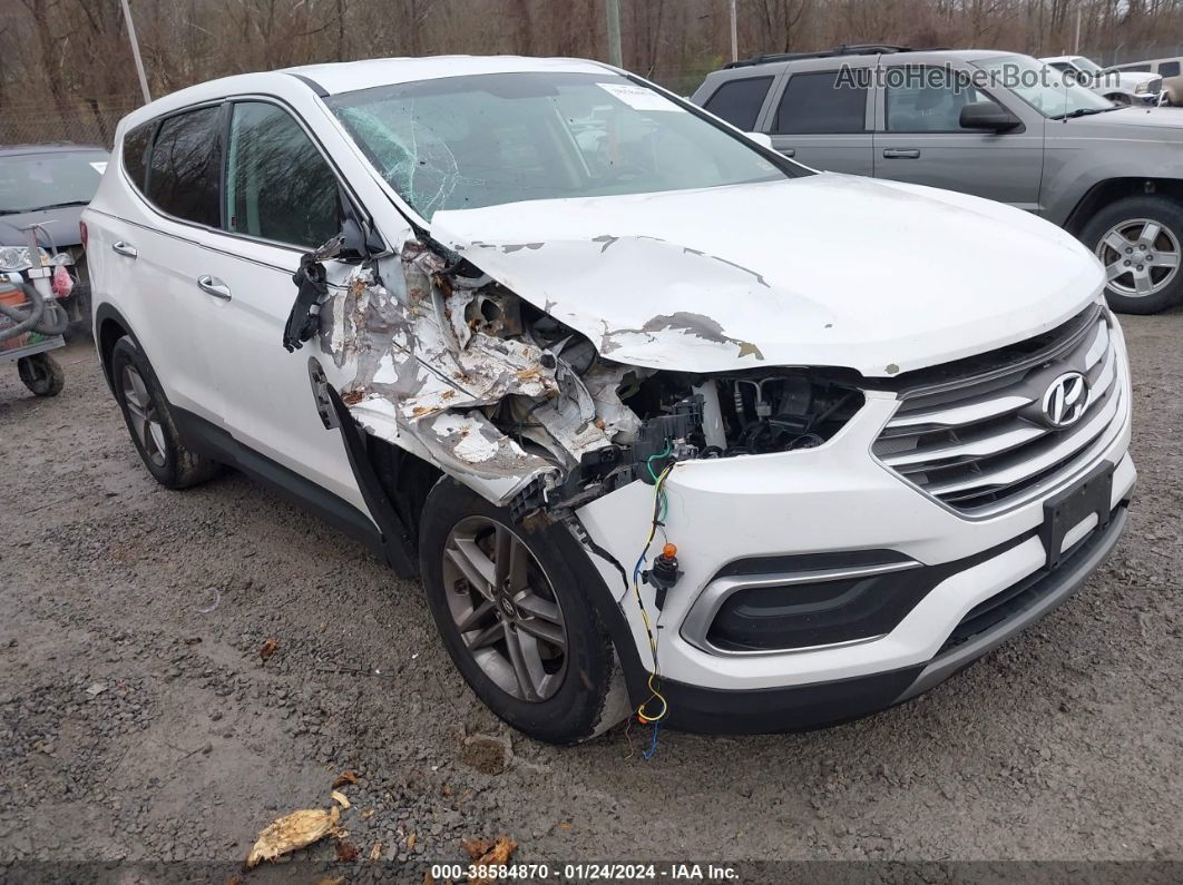 2018 Hyundai Santa Fe Sport 2.4l White vin: 5NMZTDLB1JH090750