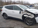 2018 Hyundai Santa Fe Sport 2.4l White vin: 5NMZTDLB1JH090750