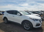 2018 Hyundai Santa Fe Sport  White vin: 5NMZTDLB1JH092594