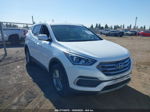 2018 Hyundai Santa Fe Sport 2.4l White vin: 5NMZTDLB1JH094877