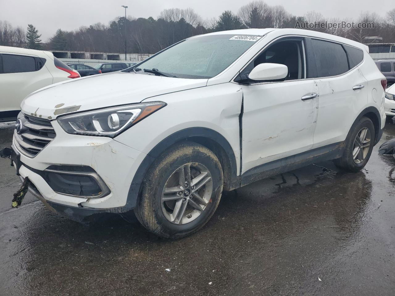 2018 Hyundai Santa Fe Sport  Белый vin: 5NMZTDLB4JH077667