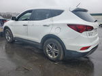 2018 Hyundai Santa Fe Sport  Белый vin: 5NMZTDLB4JH077667