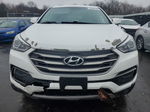 2018 Hyundai Santa Fe Sport  Белый vin: 5NMZTDLB4JH077667