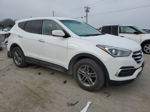 2018 Hyundai Santa Fe Sport  Белый vin: 5NMZTDLB5JH107890