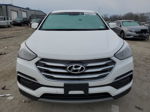 2018 Hyundai Santa Fe Sport  Белый vin: 5NMZTDLB5JH107890