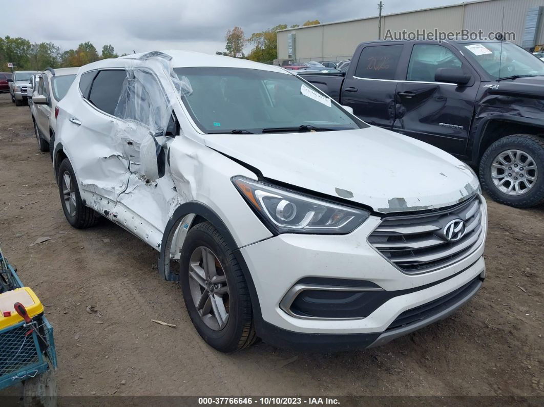 2018 Hyundai Santa Fe Sport 2.4l White vin: 5NMZTDLB6JH080456