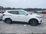 2018 Hyundai Santa Fe Sport 2.4l White vin: 5NMZTDLB6JH100561