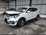 2018 Hyundai Santa Fe Sport 2.4l White vin: 5NMZTDLB6JH107932