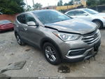 2018 Hyundai Santa Fe Sport 2.4l Gray vin: 5NMZTDLB7JH098805