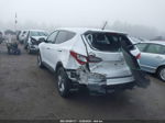 2018 Hyundai Santa Fe Sport 2.4l White vin: 5NMZTDLB7JH099856