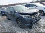 2018 Hyundai Santa Fe Sport 2.4l Pewter vin: 5NMZTDLB8JH077705