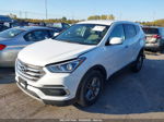 2018 Hyundai Santa Fe Sport 2.4l White vin: 5NMZTDLB9JH089264