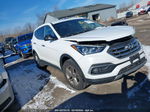 2018 Hyundai Santa Fe Sport 2.4l White vin: 5NMZTDLB9JH098076