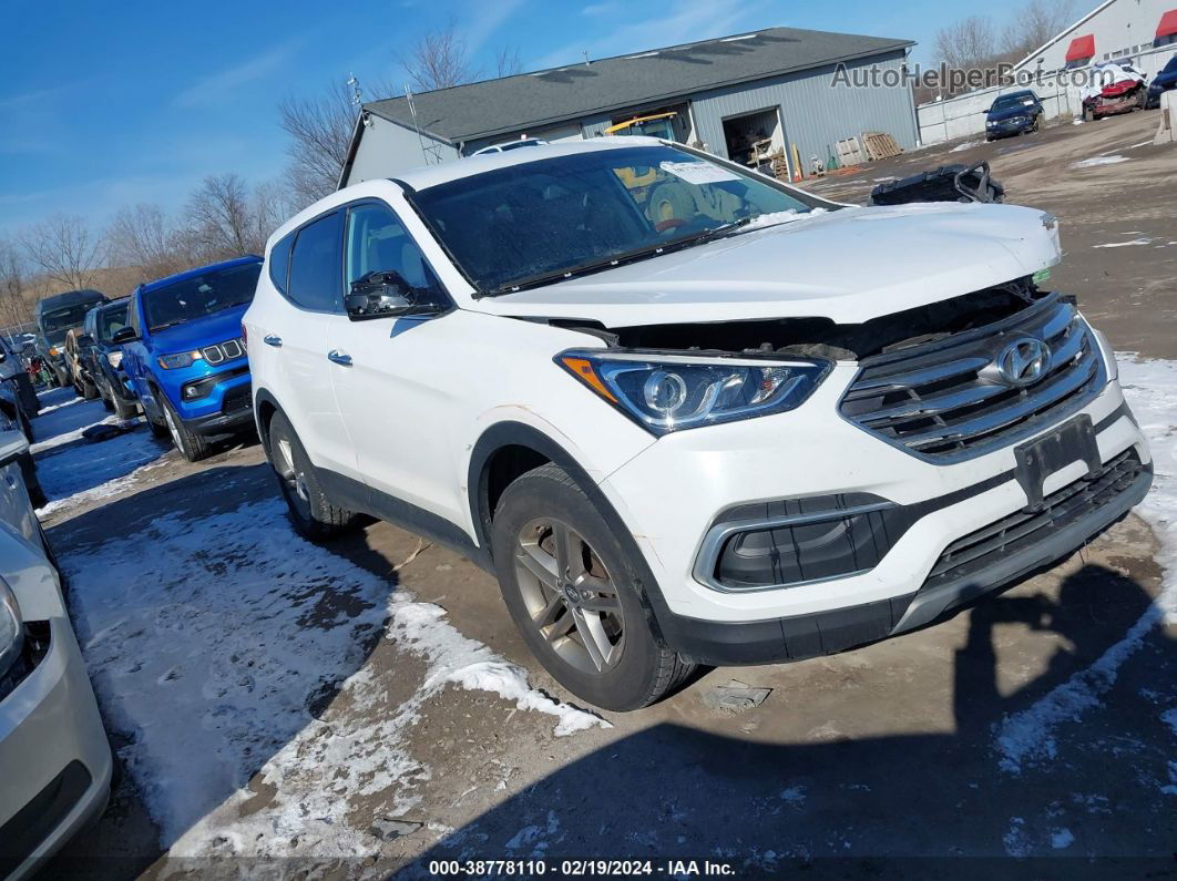 2018 Hyundai Santa Fe Sport 2.4l White vin: 5NMZTDLB9JH098076