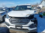 2018 Hyundai Santa Fe Sport 2.4l White vin: 5NMZTDLB9JH098076