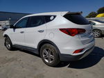 2018 Hyundai Santa Fe Sport  Белый vin: 5NMZTDLBXJH063918